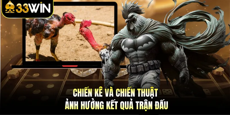 Đá Gà Thomo - Trận Đấu Công Bằng Và Chiến Thuật Hấp Dẫn 3 Chiến kê và chiến thuật ảnh hưởng kết quả trận đấu