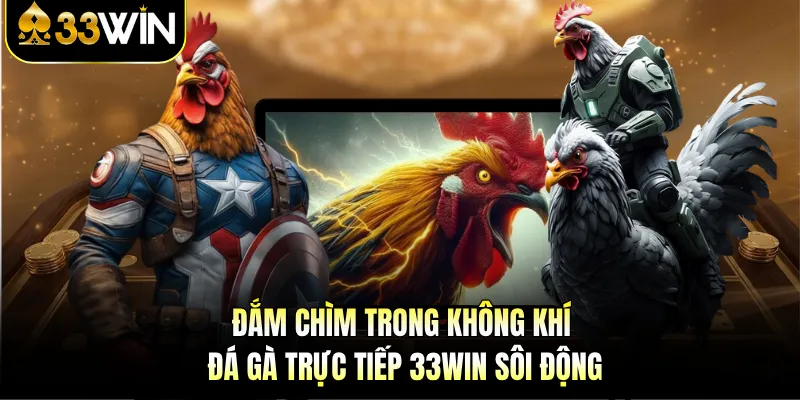 33WIN 5 Đắm chìm trong không khí đá gà trực tiếp 33WIN sôi động