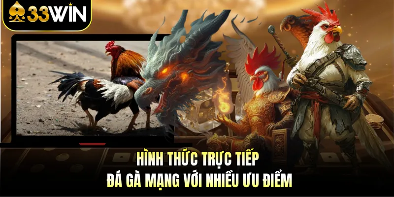 Trực Tiếp Đá Gà Mạng - Trải Nghiệm Hấp Dẫn Tại 33WIN 3 Hình thức trực tiếp đá gà mạng với nhiều ưu điểm