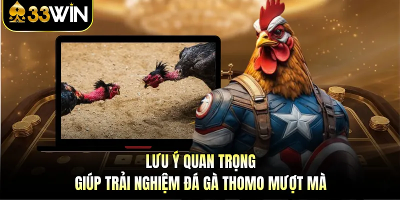 Đá Gà Thomo - Trận Đấu Công Bằng Và Chiến Thuật Hấp Dẫn 4 Lưu ý quan trọng giúp trải nghiệm đá gà Thomo mượt mà