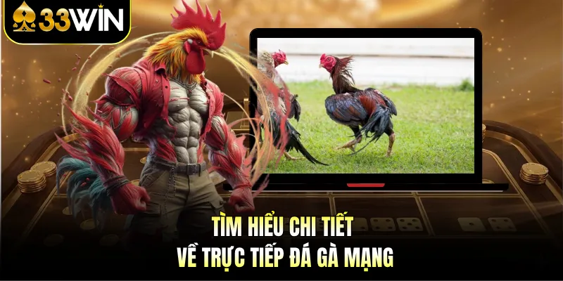 Trực Tiếp Đá Gà Mạng - Trải Nghiệm Hấp Dẫn Tại 33WIN 2 Tìm hiểu chi tiết về trực tiếp đá gà mạng