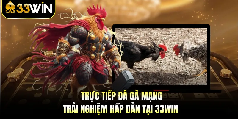 Trực Tiếp Đá Gà Mạng - Trải Nghiệm Hấp Dẫn Tại 33WIN 1 Trực Tiếp Đá Gà Mạng - Trải Nghiệm Hấp Dẫn Tại 33WIN